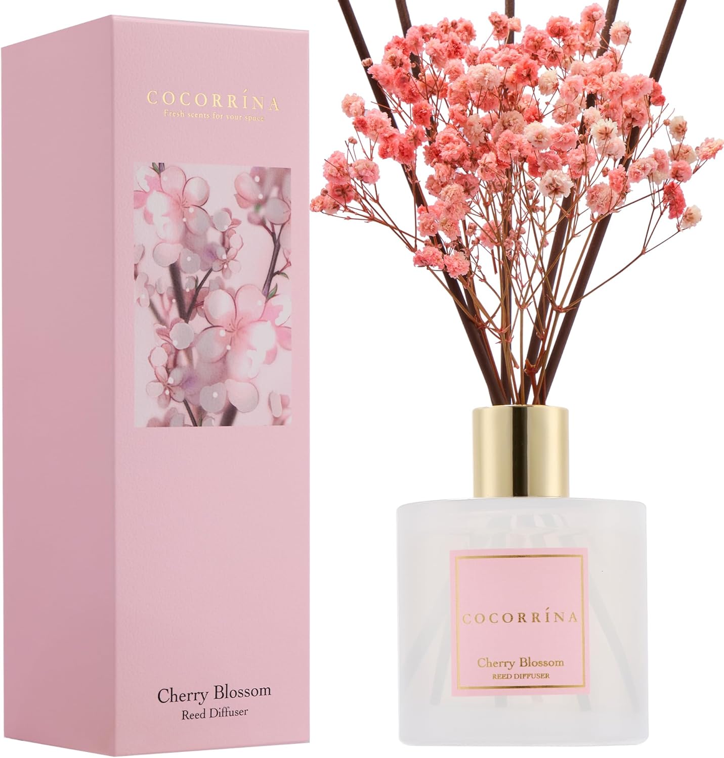 COCORRÍNA Reed Diffuser - Cherry Blossom 6.7 Fl.oz Reed Diffuser Set with Sticks & Preserved Baby's Breath, Reed Diffuser for Home Bathroom Shelf Decor