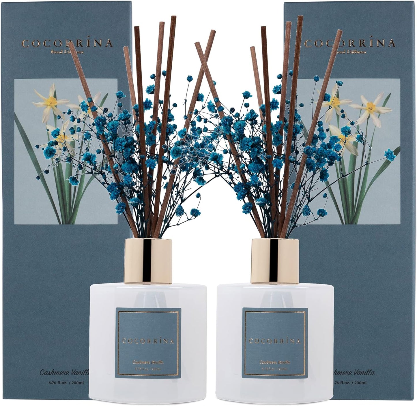 Cocorrína Premium Reed Diffuser Set with Preserved Baby's Breath & Cotton Stick Cashmere Vanilla 2 Packs, 6.7oz Scent Fragrance Oil Diffuser for Bedroom Bathroom Home Décor