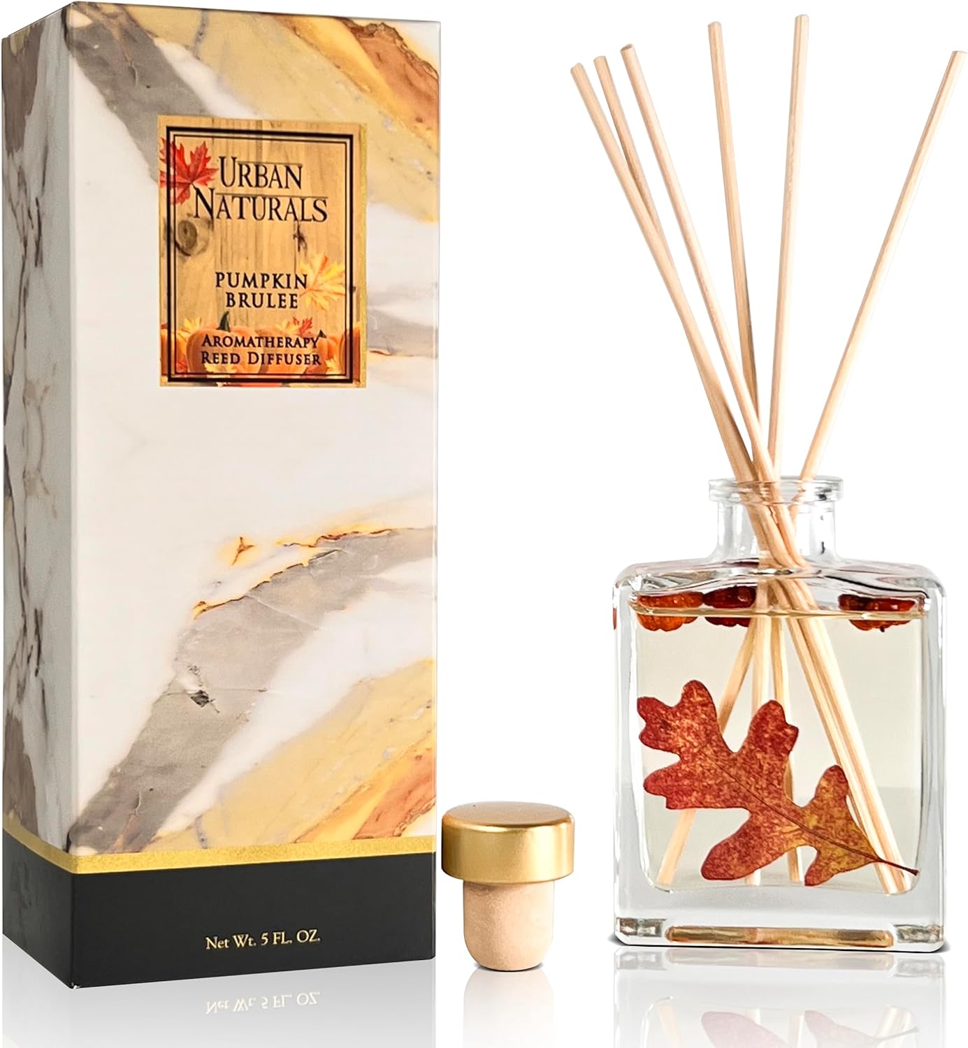 Urban Naturals Pumpkin Brulee Scented Sticks Reed Diffuser Oil Set – Fall Pumpkin Pie, Nutmeg & French Vanilla – Sleek Rectangular Refillable Glass Bottle – Made in The USA