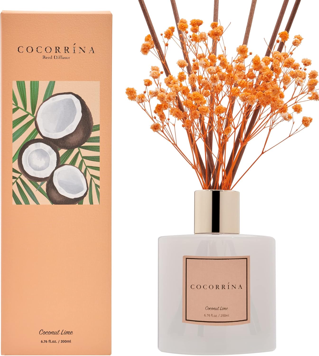 Cocorrína Premium Reed Diffuser Set with Preserved Baby's Breath & Cotton Stick Coconut Lime | 6.7oz Scent Fragrance Oil Diffuser for Bedroom Bathroom Home Décor