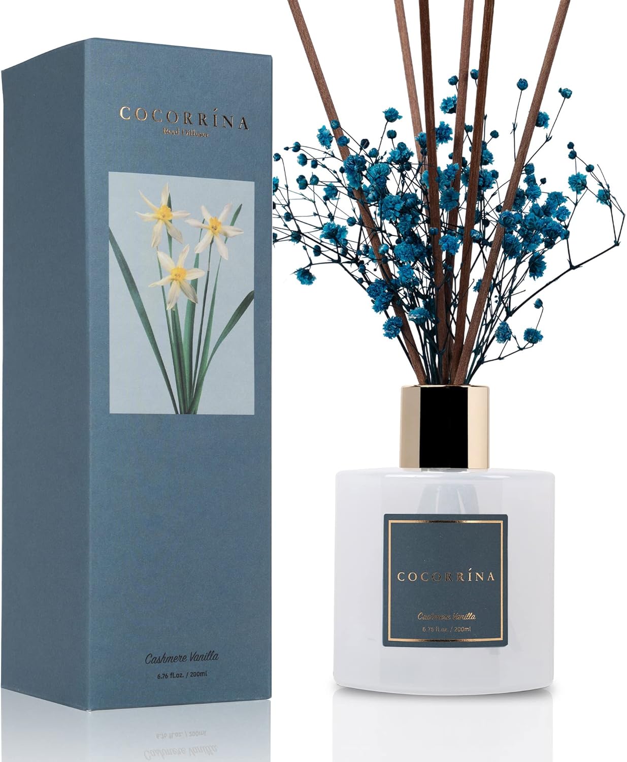 Cocorrína Premium Reed Diffuser Set with Preserved Baby's Breath & Cotton Stick Cashmere Vanilla | 6.7 fl oz Scent Fragrance Oil Diffuser for Bedroom Bathroom Home Décor